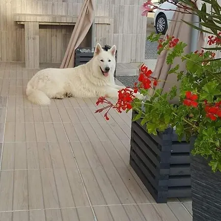 Maison Renovee A La Ferme Avec Jardin Prive, Wi-fi, Peche, Balancoire, Trampoline - - Fr-1-426-103 Nyaraló *